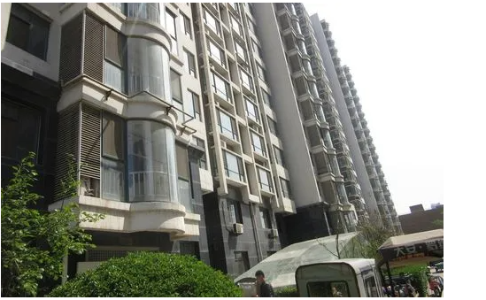 楼道门口养流浪猫 | 德城区:楼道喂养流浪猫两家邻居吵起来(图1)