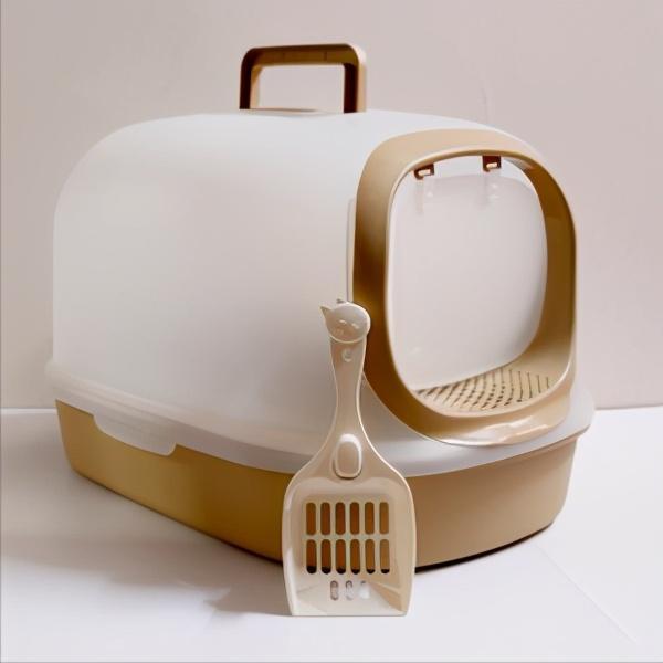 养猫到底要花多少钱?养猫花钱要花在什么方面?(图6)