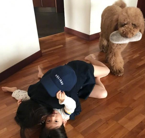 霍思燕的泰迪600万不卖 baby因养猫被骂无脑 扒一扒女明星的萌宠们(图2)