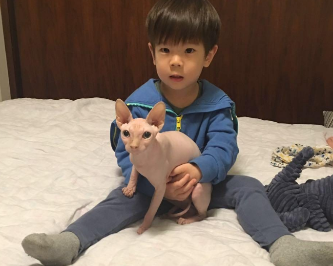 霍思燕的泰迪600万不卖 baby因养猫被骂无脑 扒一扒女明星的萌宠们(图3)