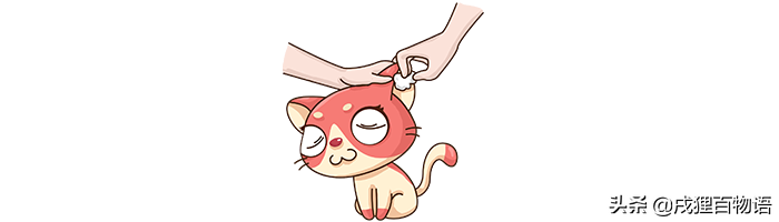 什么是耳螨?宠物医生会开什么药?省钱攻略都在这里了(图2)