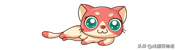 什么是耳螨?宠物医生会开什么药?省钱攻略都在这里了(图5)