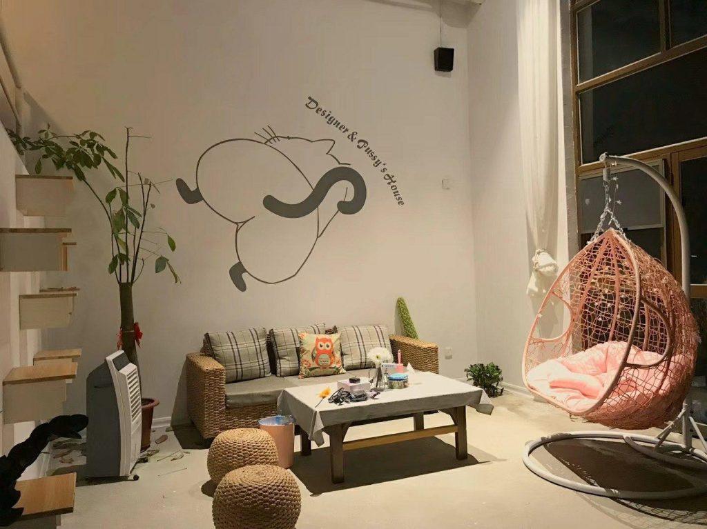 猫传腹并不具备传染性,主人应学会四点预防手段(图8)