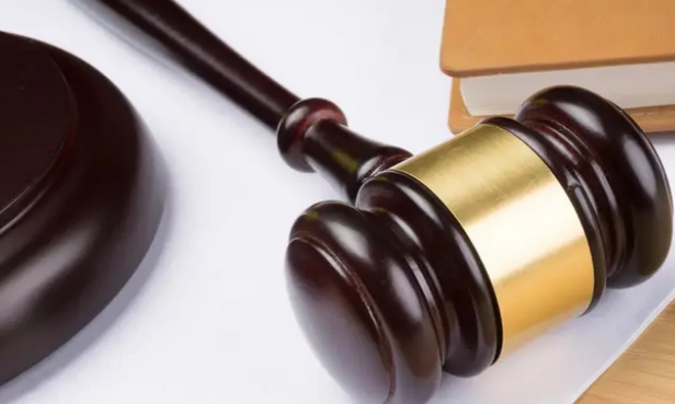 回顾“我帮他养猫,猫猝死凭啥让我赔12万?”结局激动到哇哇大哭(图5)