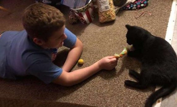 难忘的圣诞礼物! 爱猫男孩收到妈妈准备的惊喜(图3)