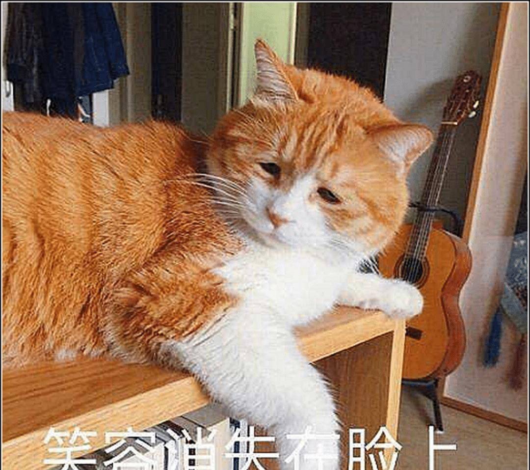 橘猫正在给自己清洗,突然舔了下屁股,下一秒直接不淡定了(图3)