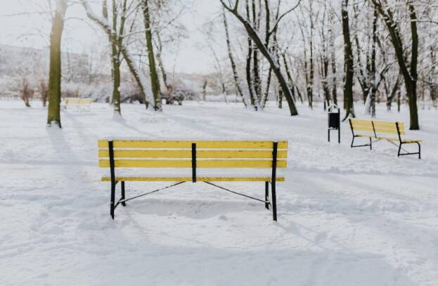 主人领养了只猫咪回来,到家才发现它身上布满了爱心花纹,真好看(图4)