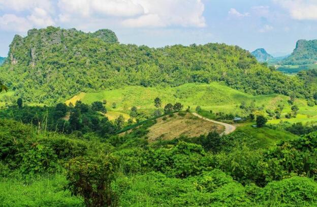 主人领养了只猫咪回来,到家才发现它身上布满了爱心花纹,真好看(图3)