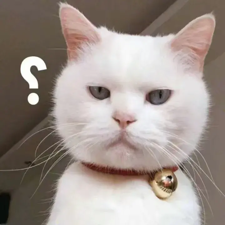 猫咪尿不出或尿频是为什么?猫咪一天一般需要喝多少水?(图1)