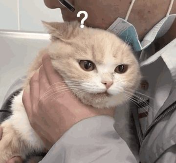 猫咪喜欢咬人意想不到,但别再打骂猫了,简单几招就能轻松解决(图11)