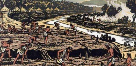 5000万年前的这种生物,竟是猫和狗的共同祖先,模样你猜不到(图5)