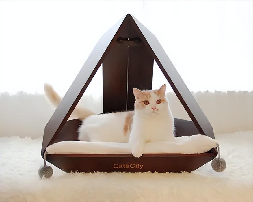 警惕!你家猫咪体内有心丝虫吗?如何诊断猫咪是否患有心丝虫病?(图6)