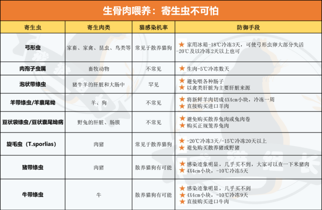 宠物吃生骨肉,会感染寄生虫吗?给猫咪做猫饭,如何确保营养均衡?(图18)