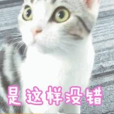 宠物吃生骨肉,会感染寄生虫吗?给猫咪做猫饭,如何确保营养均衡?(图20)