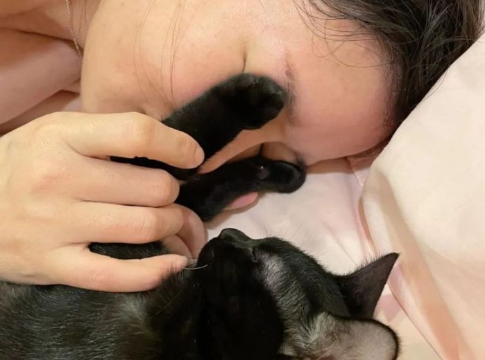 猫咪不满主人买狗狗眼罩,竟主动用猫爪捂眼!(图2)