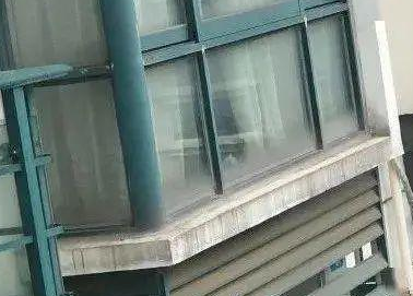 “救命!我被邻居家的猫偷窥了!”(图8)