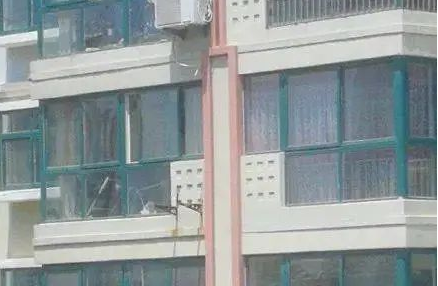 “救命!我被邻居家的猫偷窥了!”(图12)