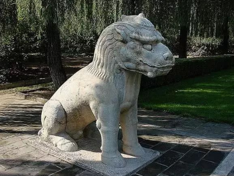 猫咪每天都在干嘛,了解后直接笑死!(图2)