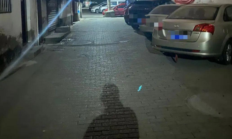 苏州偷猫曝光!当事人被偷猫贼拖行致脑震荡(图2)