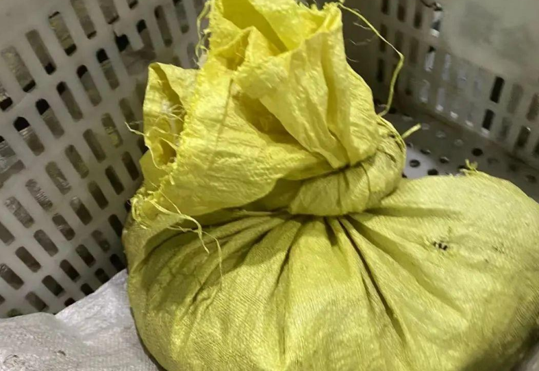 苏州偷猫曝光!当事人被偷猫贼拖行致脑震荡(图7)