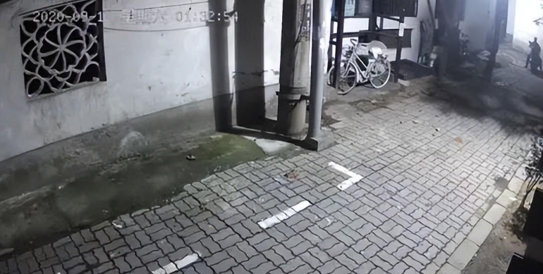 苏州偷猫曝光!当事人被偷猫贼拖行致脑震荡(图14)