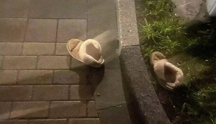 苏州偷猫曝光!当事人被偷猫贼拖行致脑震荡(图26)