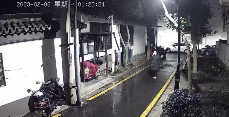 苏州偷猫曝光!当事人被偷猫贼拖行致脑震荡(图29)