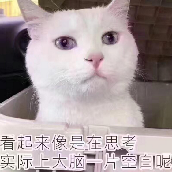 猫咪又抓坏了家里沙发?2招帮你解决这个问题(图9)