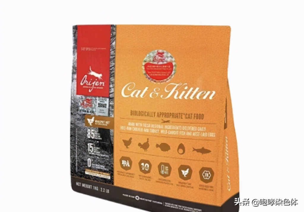 第一次养猫要准备多少预算?新手养猫需要准备多少钱?(图2)