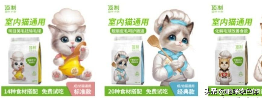 第一次养猫要准备多少预算?新手养猫需要准备多少钱?(图3)