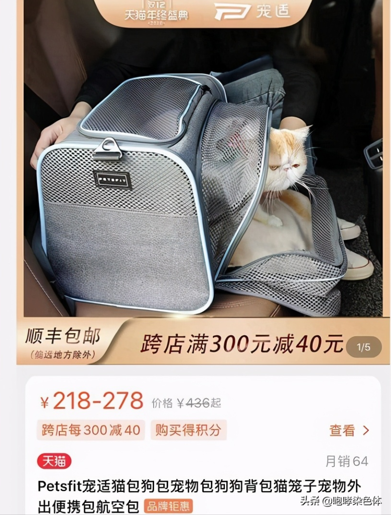 第一次养猫要准备多少预算?新手养猫需要准备多少钱?(图5)