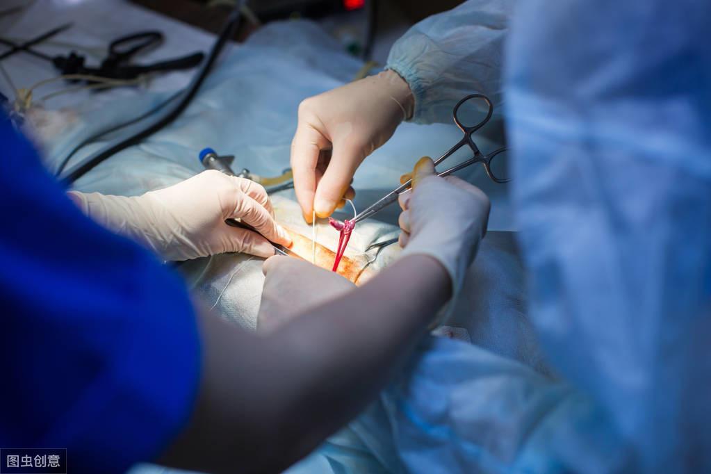 公猫拆家?母猫乖巧?养猫咪前如何挑选公母(图3)