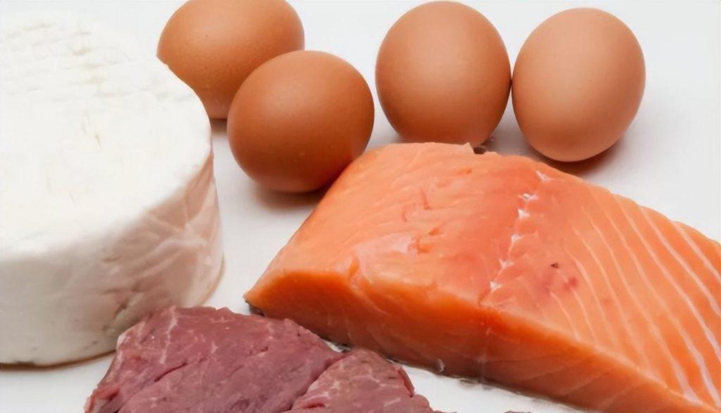 猫一天吃多少猫粮?猫咪所需的营养元素分享(图2)