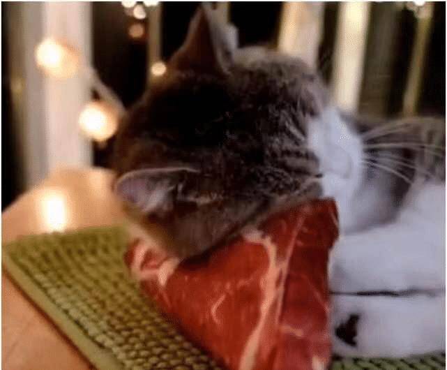 女子外出回家,发现猫咪枕着一块肉在睡觉(图4)