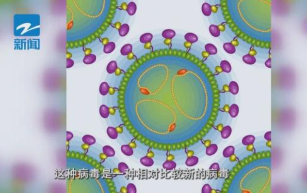 女子被猫抓伤,猫却不明原因死亡;医生:致死率高达30%(图2)