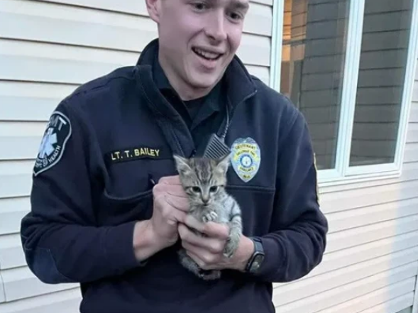 流浪小猫差点命丧车轮下,幸好车主听到异响,在启动前干了这事(图1)