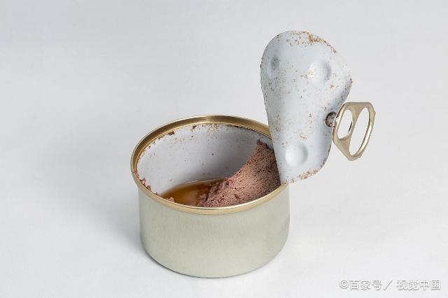 解析折耳猫的来历及糊涂的治疗方法(图5)