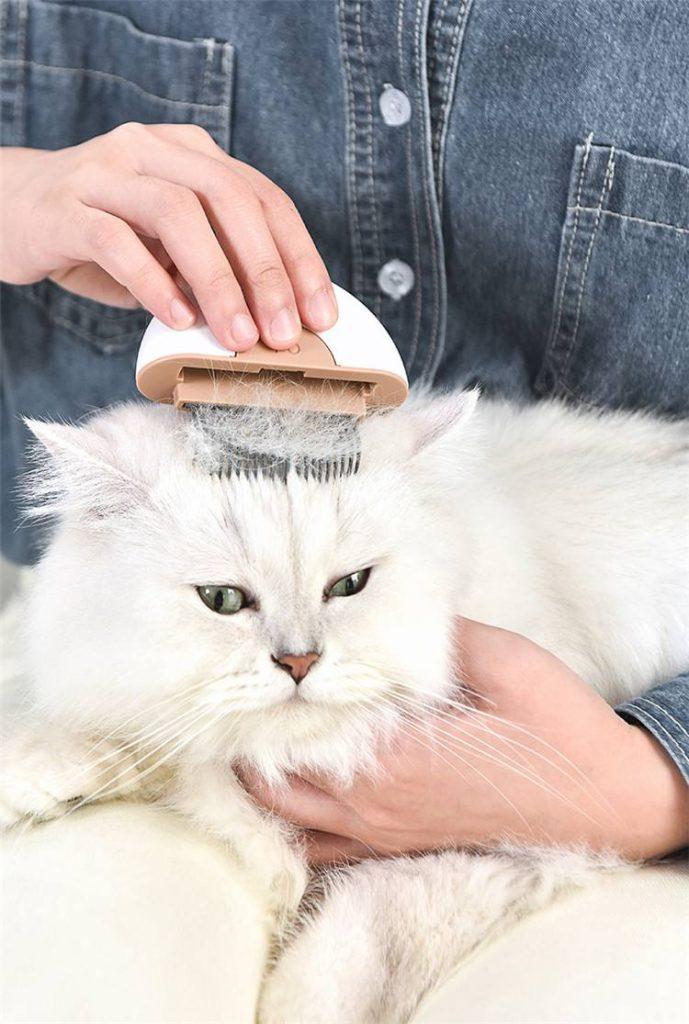 猫咪其实是很“怕冷”的,分享这些保暖技巧,很实用!(图8)