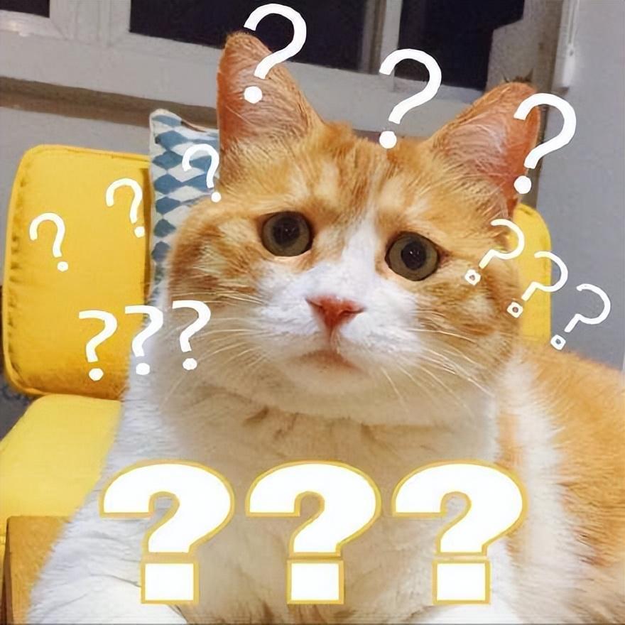 猫咪其实是很“怕冷”的,分享这些保暖技巧,很实用!(图13)