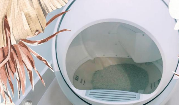 土豪教你如何科学养猫!网友不淡定了,没想到……(图7)