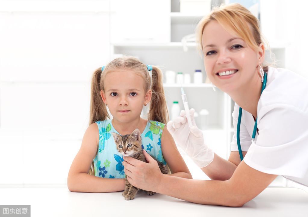 猫咪体检都要查哪几项?哪些项目可以不做?(图3)