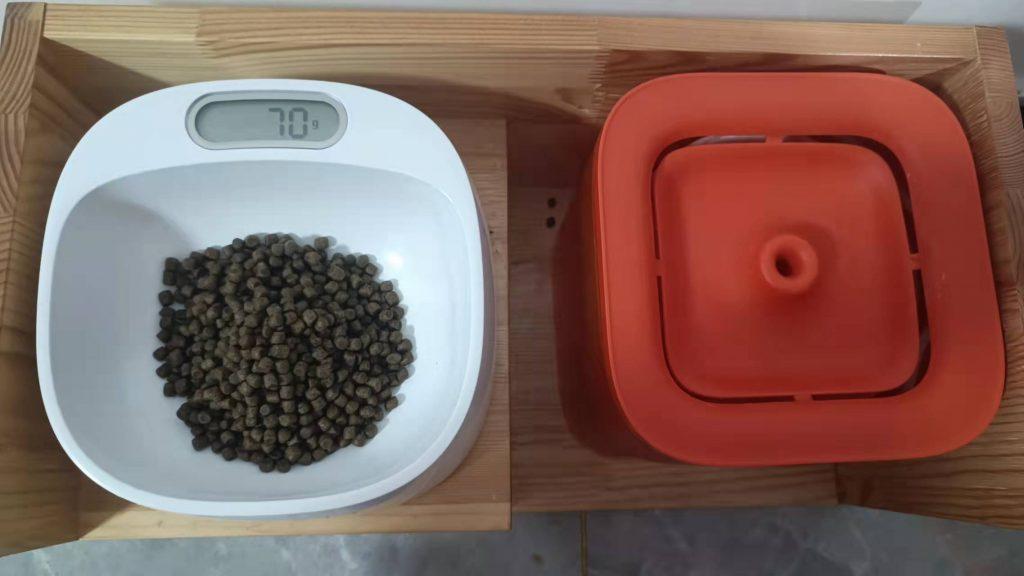 新手养猫准备:养猫之前需要准备些什么东西?(图10)