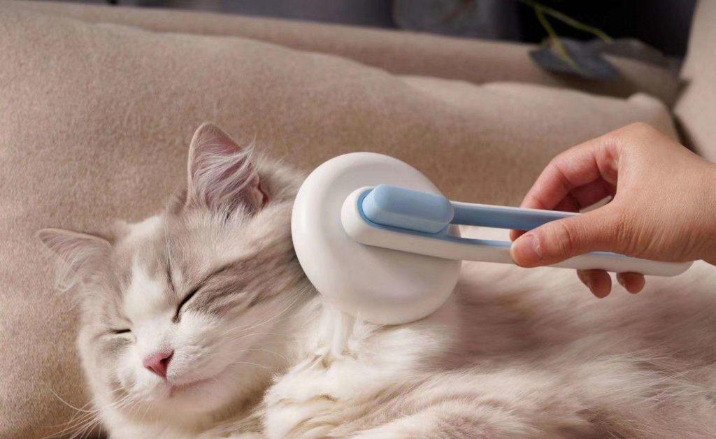 新手养猫准备:养猫之前需要准备些什么东西?(图17)