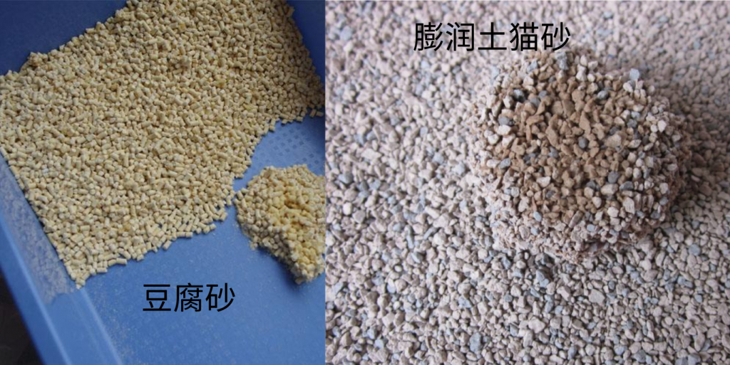 新手养猫准备:养猫之前需要准备些什么东西?(图13)