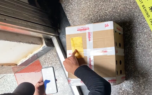 网购的宠物猫,被关箱子里断水断粮好几天,即将去喵星前她出现了(图1)