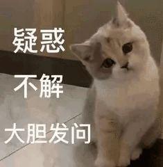 猫一顿饭要吃多少才够营养?猫咪每天一个罐头够吗?(图2)