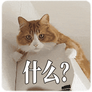 猫一顿饭要吃多少才够营养?猫咪每天一个罐头够吗?(图3)