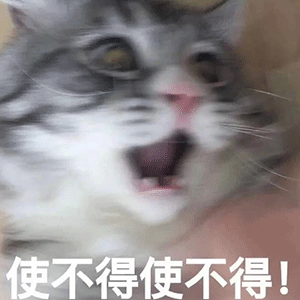 猫一顿饭要吃多少才够营养?猫咪每天一个罐头够吗?(图5)