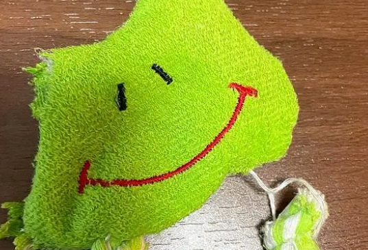 橘猫外表普普通通,身体里却装了狗的灵魂?(图4)