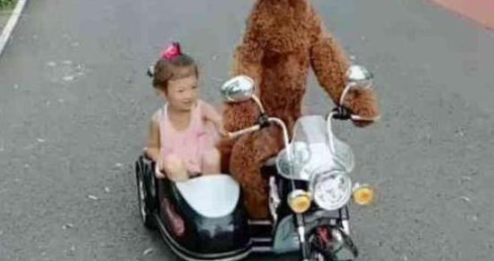 小狗一脸高兴的骑车截着小主人,猫奴都猜疑是否要修炼成仙了!(图1)